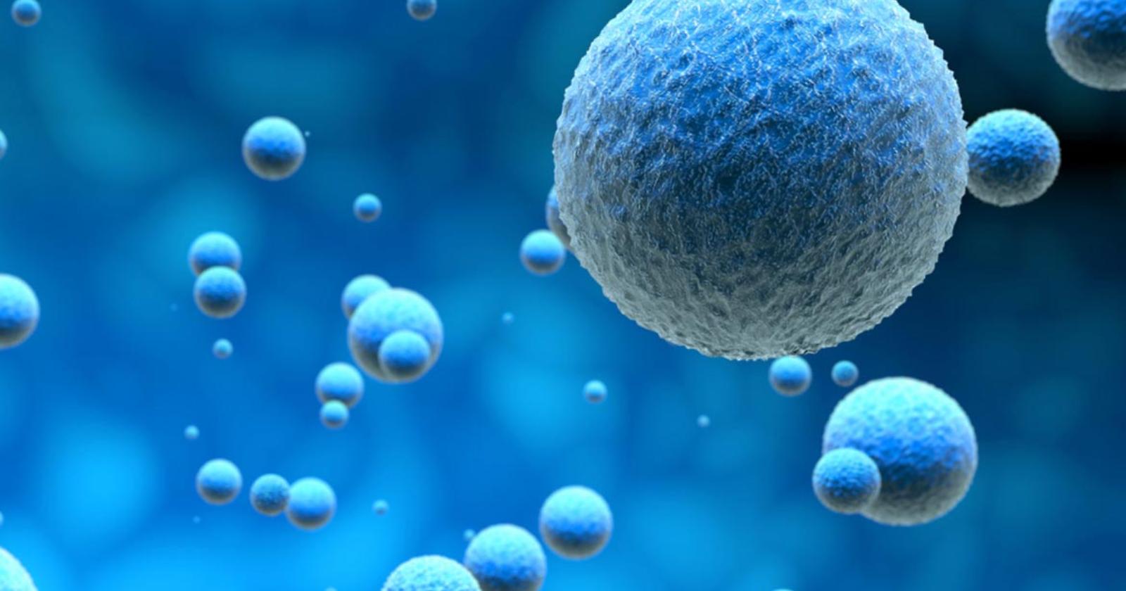 Alla scoperta del microbioma