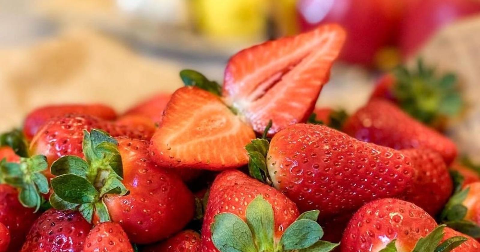 Rafforzamento del sistema ortofrutticolo lucano: da Via Verrastro 9,7 milioni di euro 