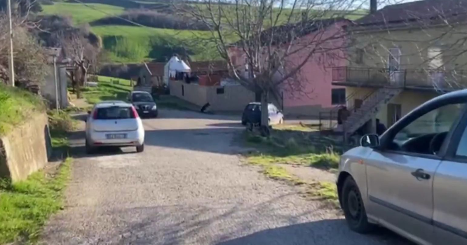 Dramma familiare a Rapolla: zio uccide nipote a colpi di fucile