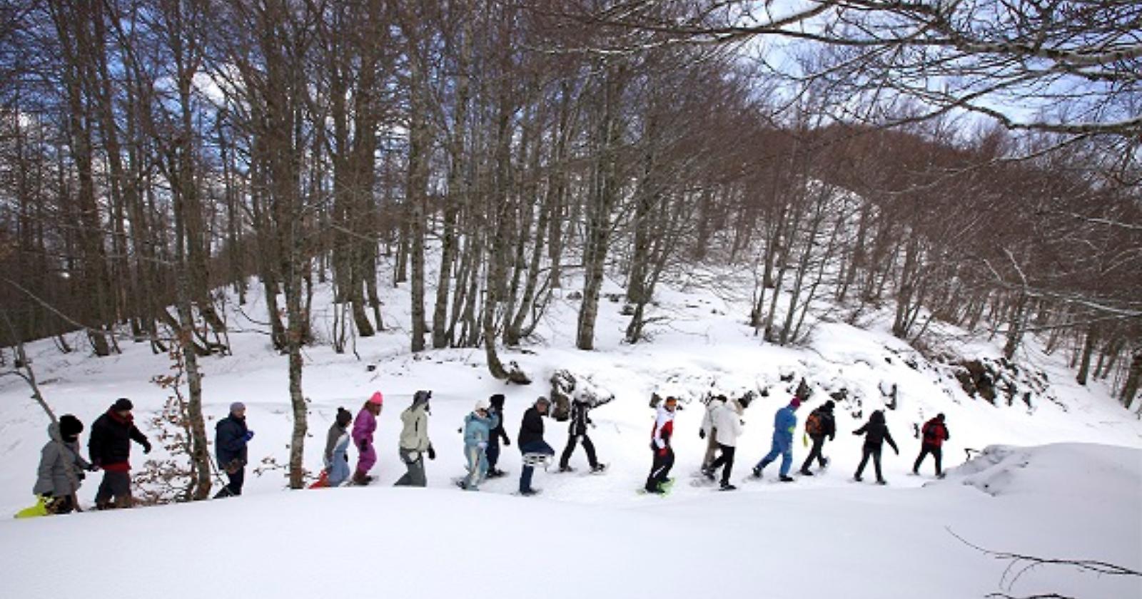 Rotonda in bianco: è tornata la neve sul versante lucano del Parco Nazionale del Pollino