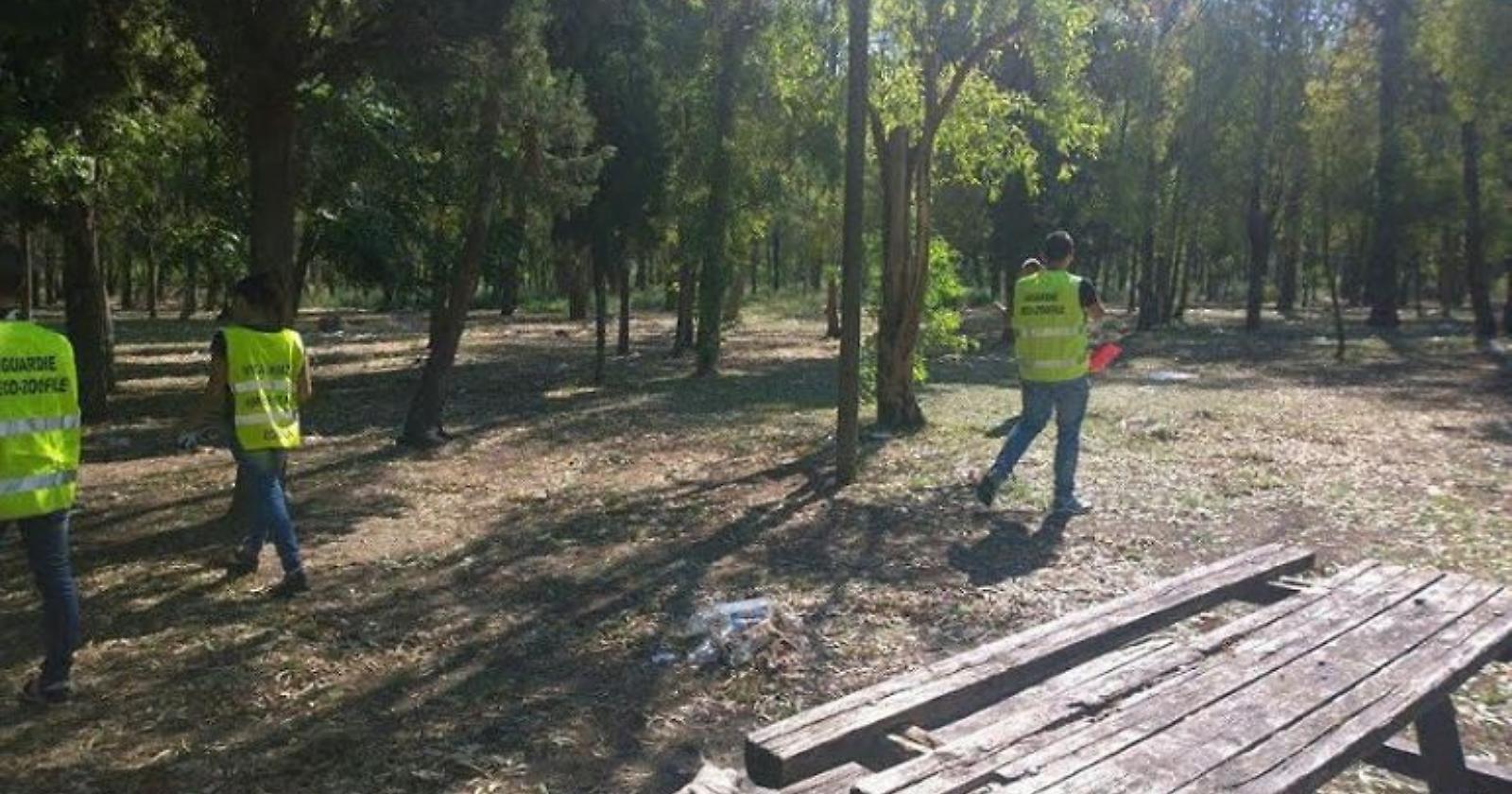 Panico al Bosco Incoronata: Una Pasquetta da dimenticare per una famiglia.