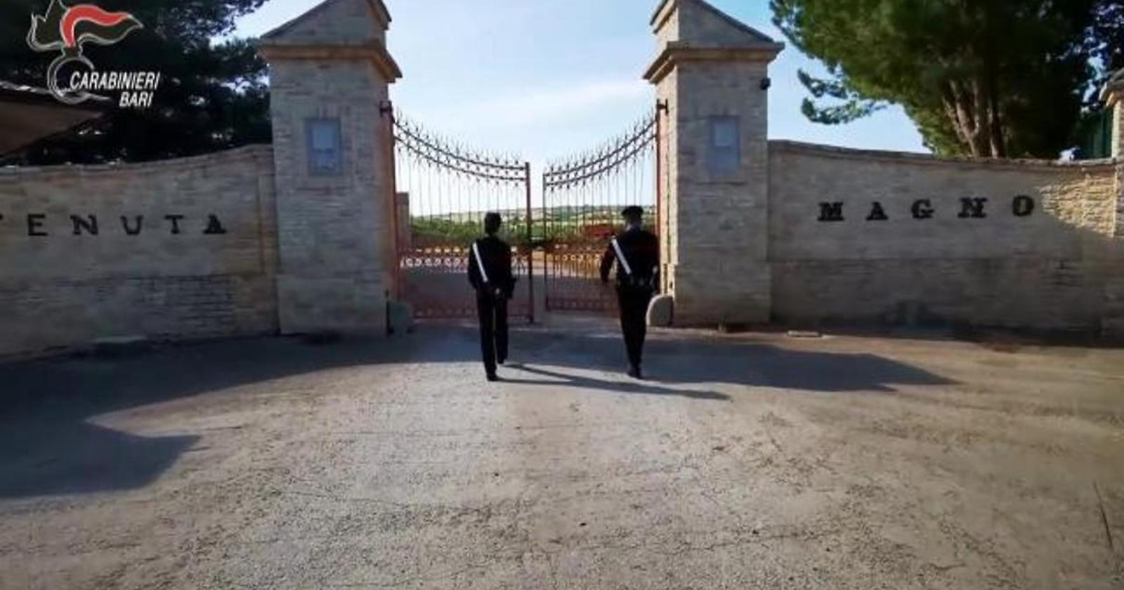 Il Riciclaggio da 80 Milioni: L'Impero Illecito di un Imprenditore di Andria