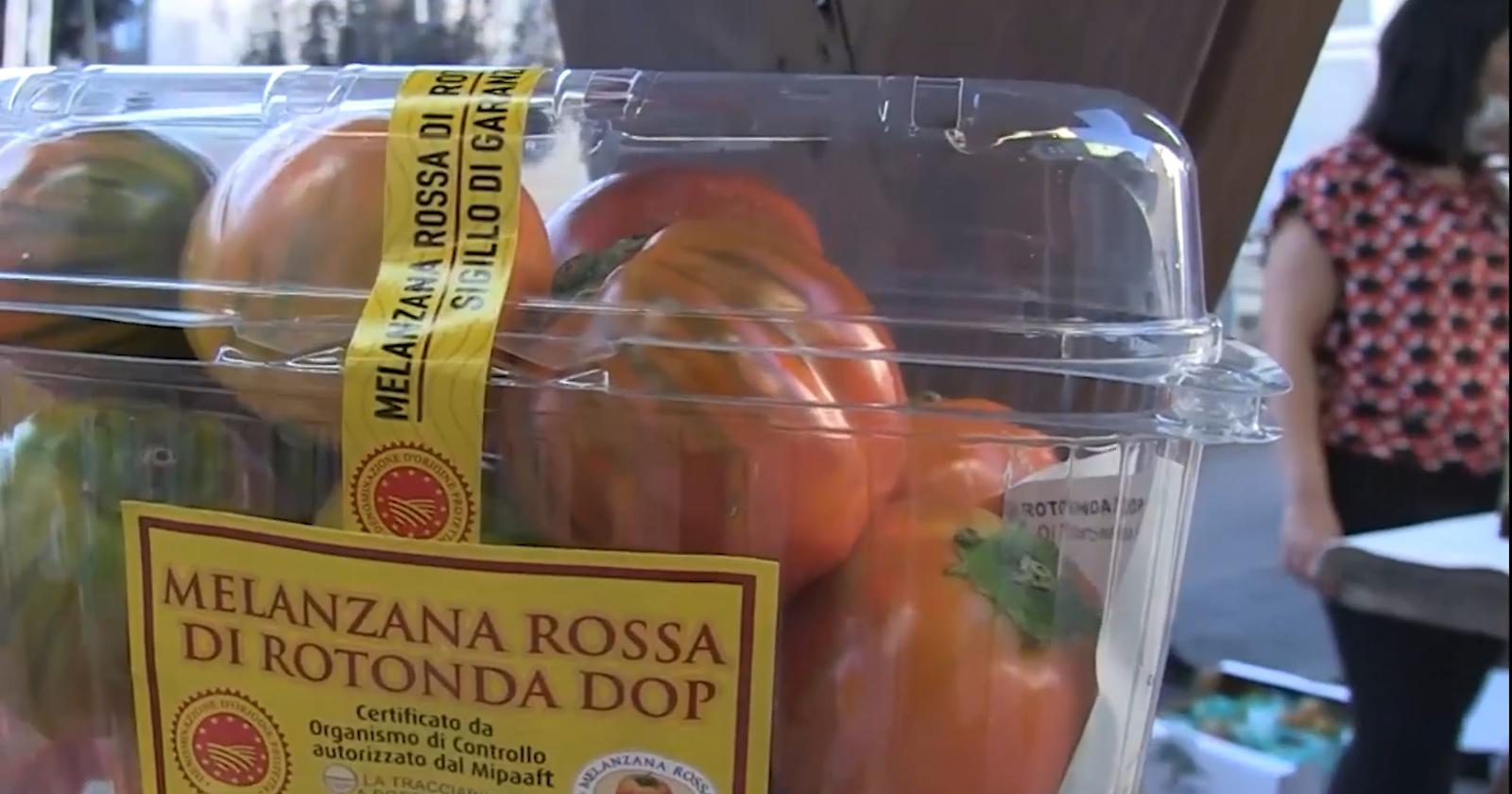 La Melanzana Rossa DOP: Un Insegnamento di Vita per i Giovani di Rotonda