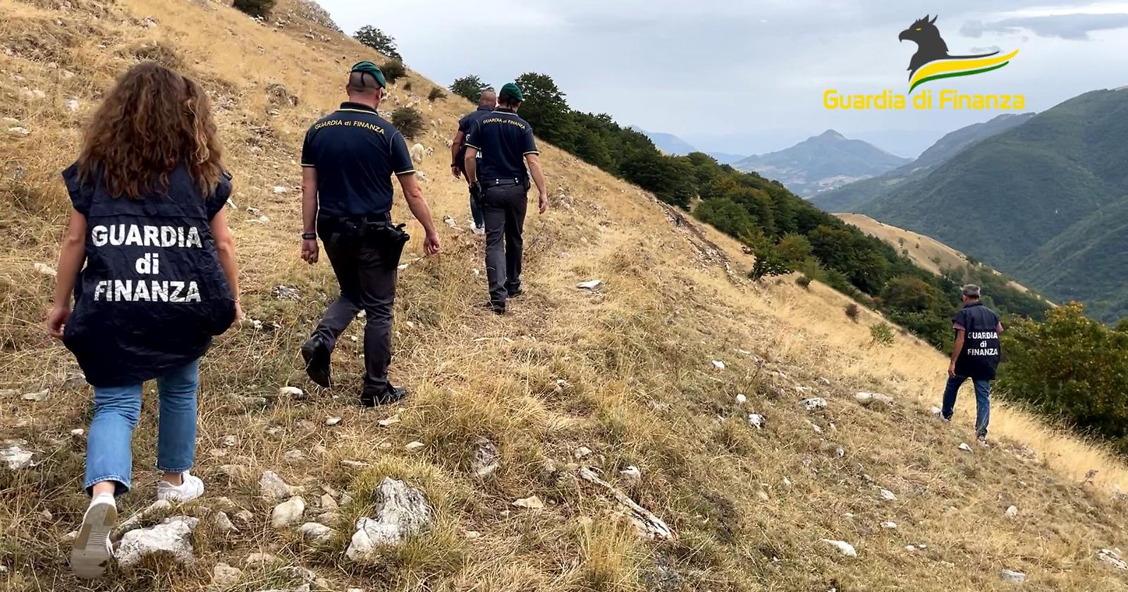 Pescara chiude l'indagine della GdF sulla mafia dei pascoli con transumanza da Foggia: 75 gli indagati per frodi da 5milioni di euro