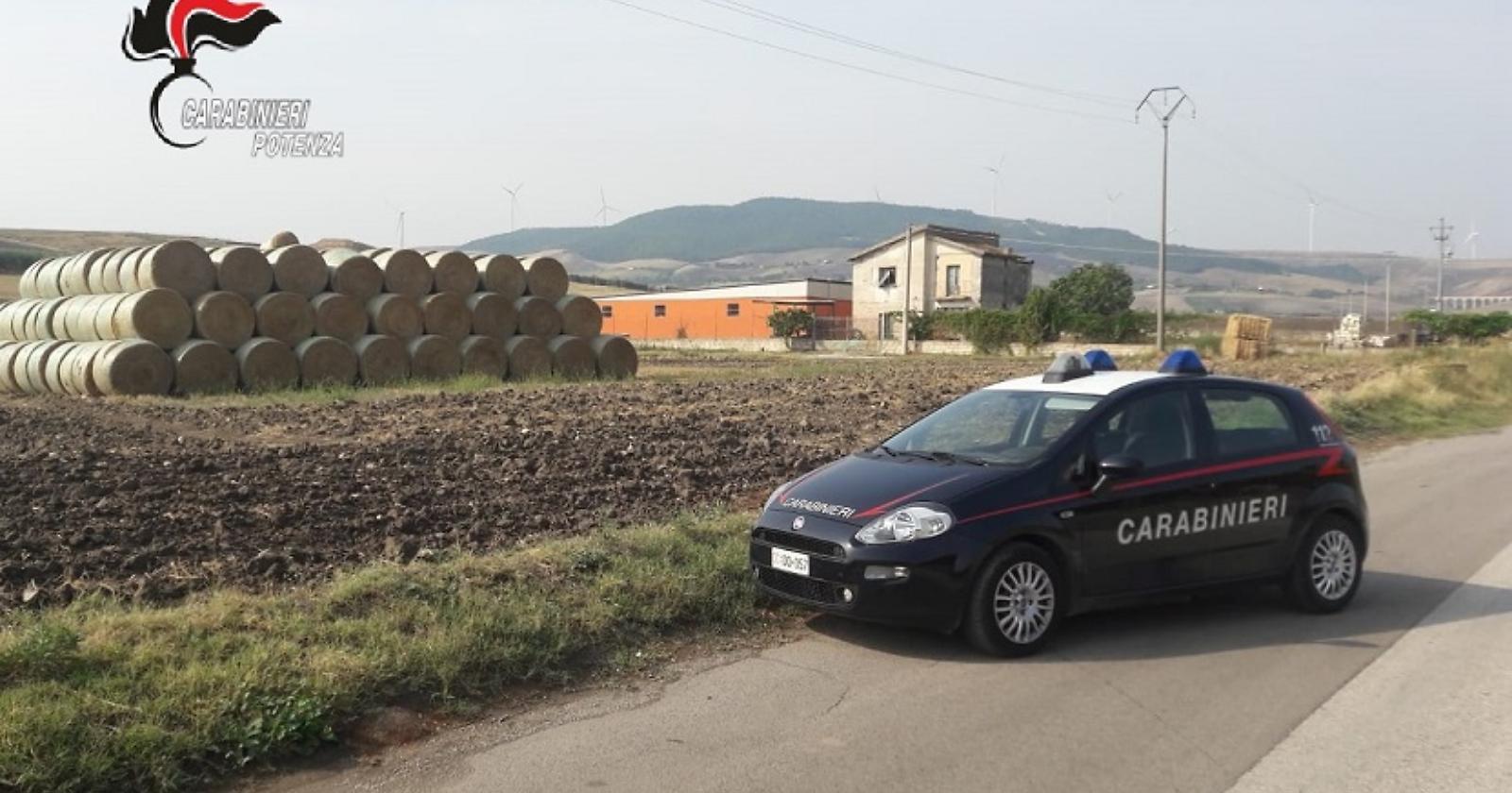 Rinchiuso in un deposito senza cibo e acqua, cane salvato dai Carabinieri nel Vulture Melfese