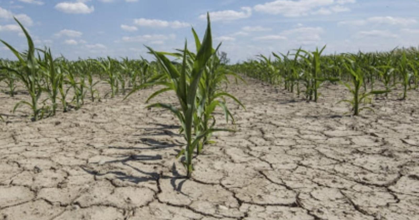 Dramma siccità e dighe in affanno: la Basilicata chiederà lo stato di emergenza