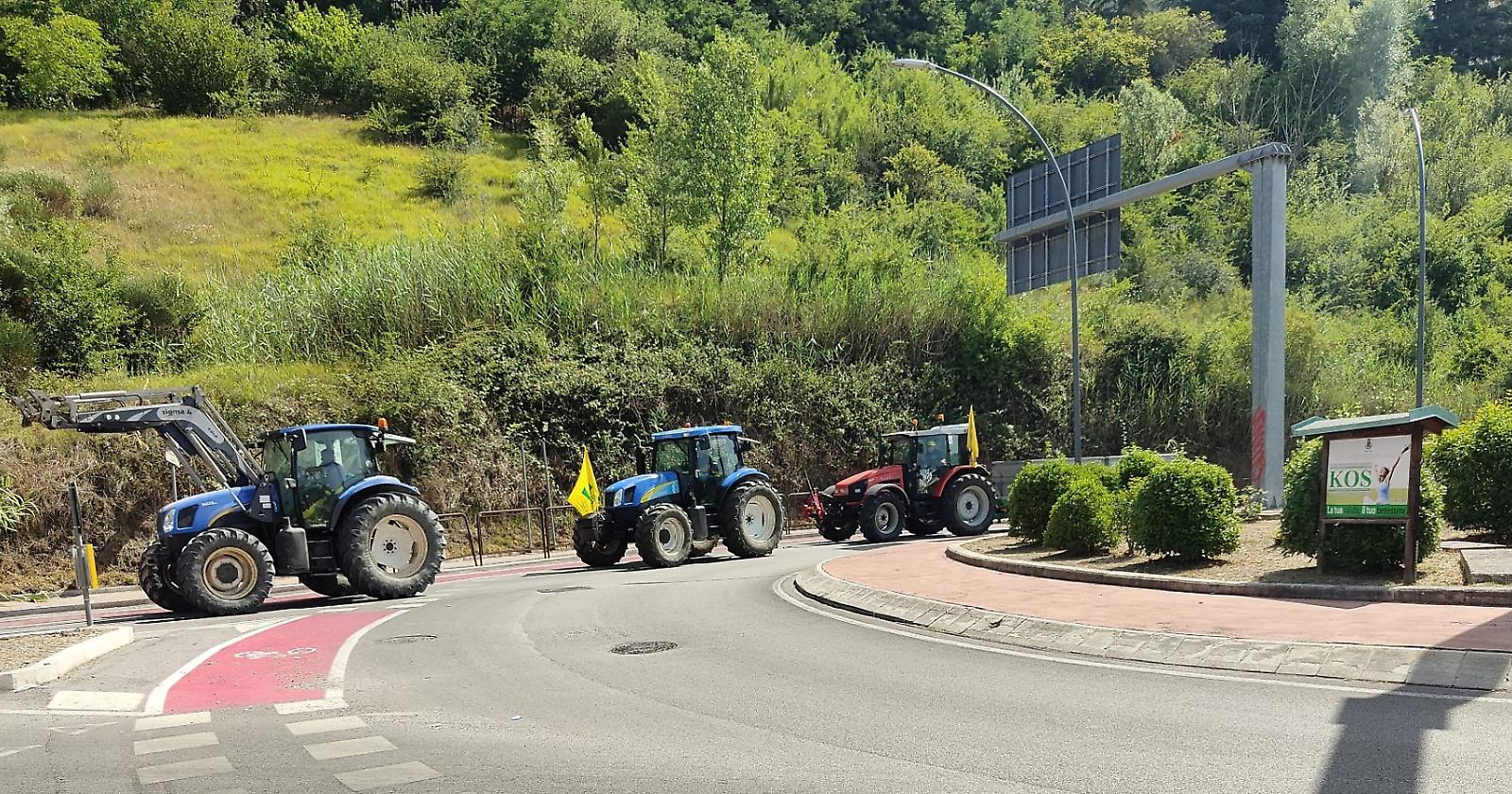 Siccità e cinghiali: a Potenza il presidio di trattori e agricoltori