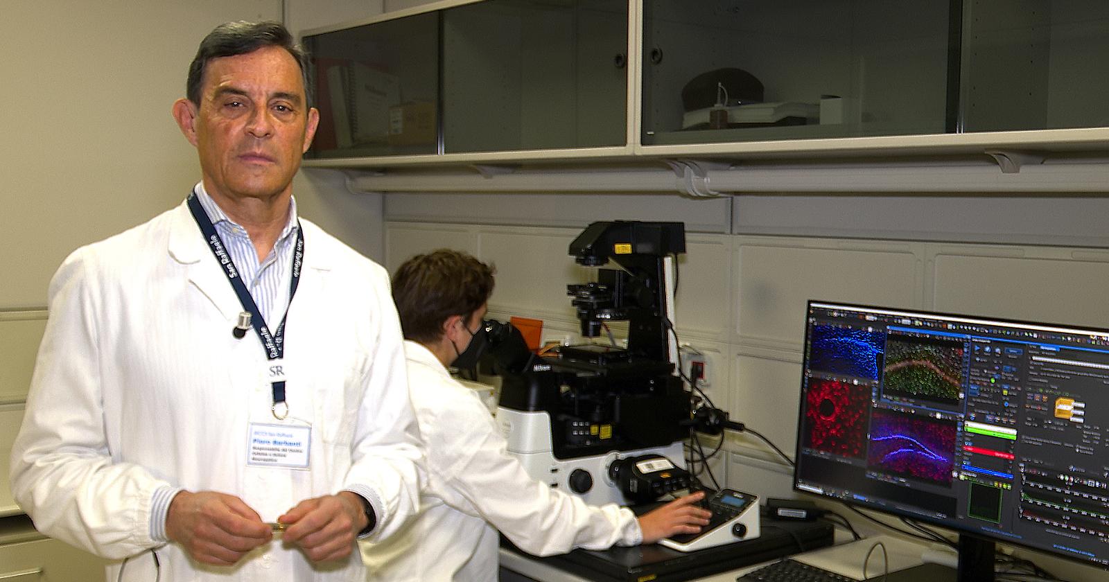 Estate amica del cervello? Barbanti, IRCCS San Raffaele Roma: "e chi l’ha detto!"