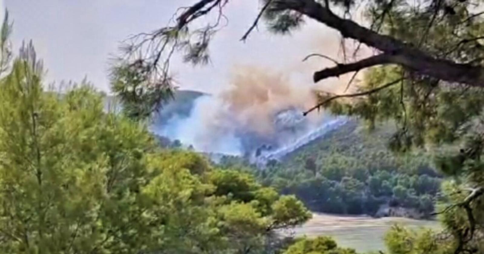 Incendio a Vieste,  mille turisti in fuga