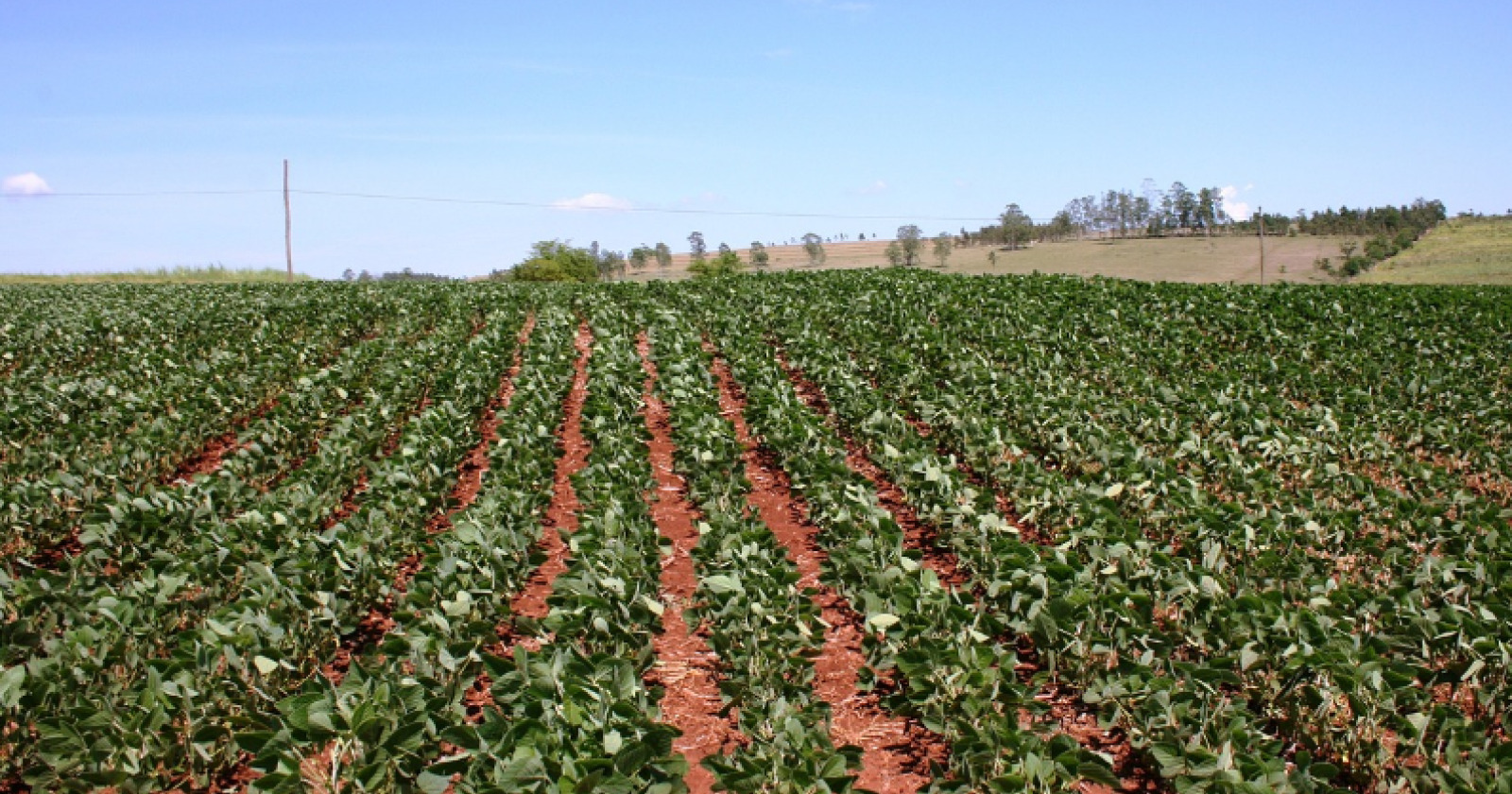 Schiaffo degli agricoltori lucani alle politiche green: prevale una visione "conservatrice"