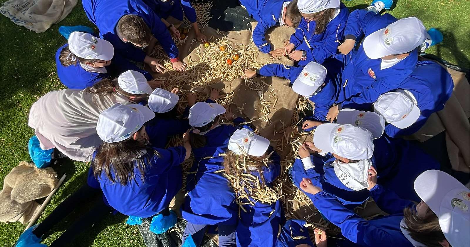 A Rotonda la “Festa di fine raccolto” per celebrare la melanzana rossa e il fagiolo bianco