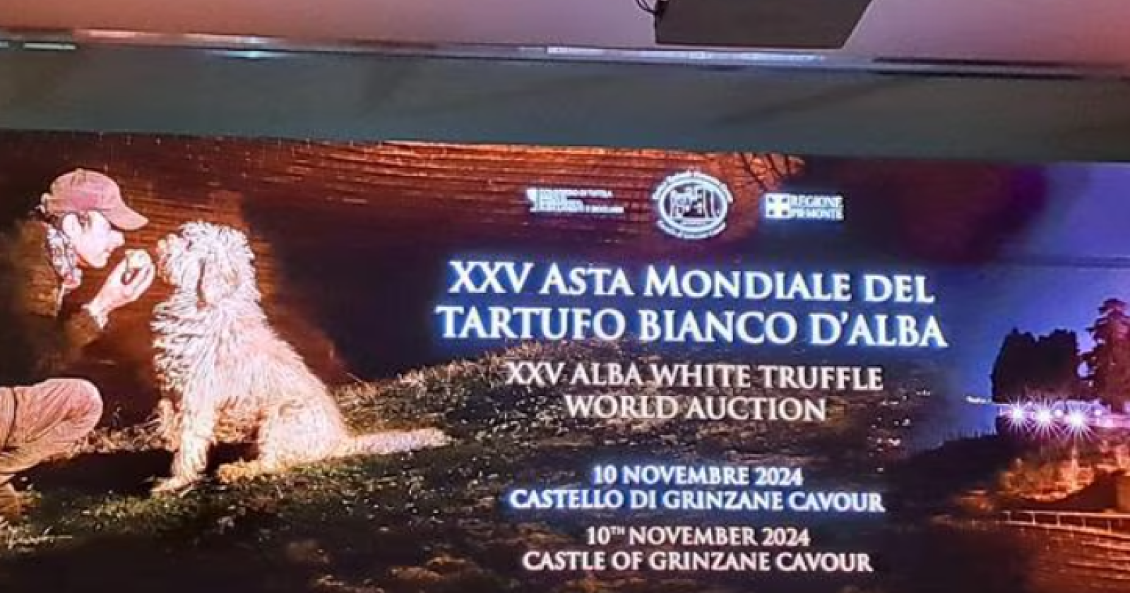 Il tartufo di Basilicata alla fiera di Alba, l'impegno di Cicala: "Adeguare il quadro normativo alle rinnovate esigenze del comparto"