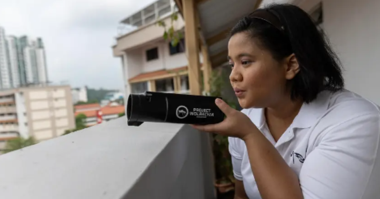 Wolbachia, la titanica guerra alle malattie delle zanzare