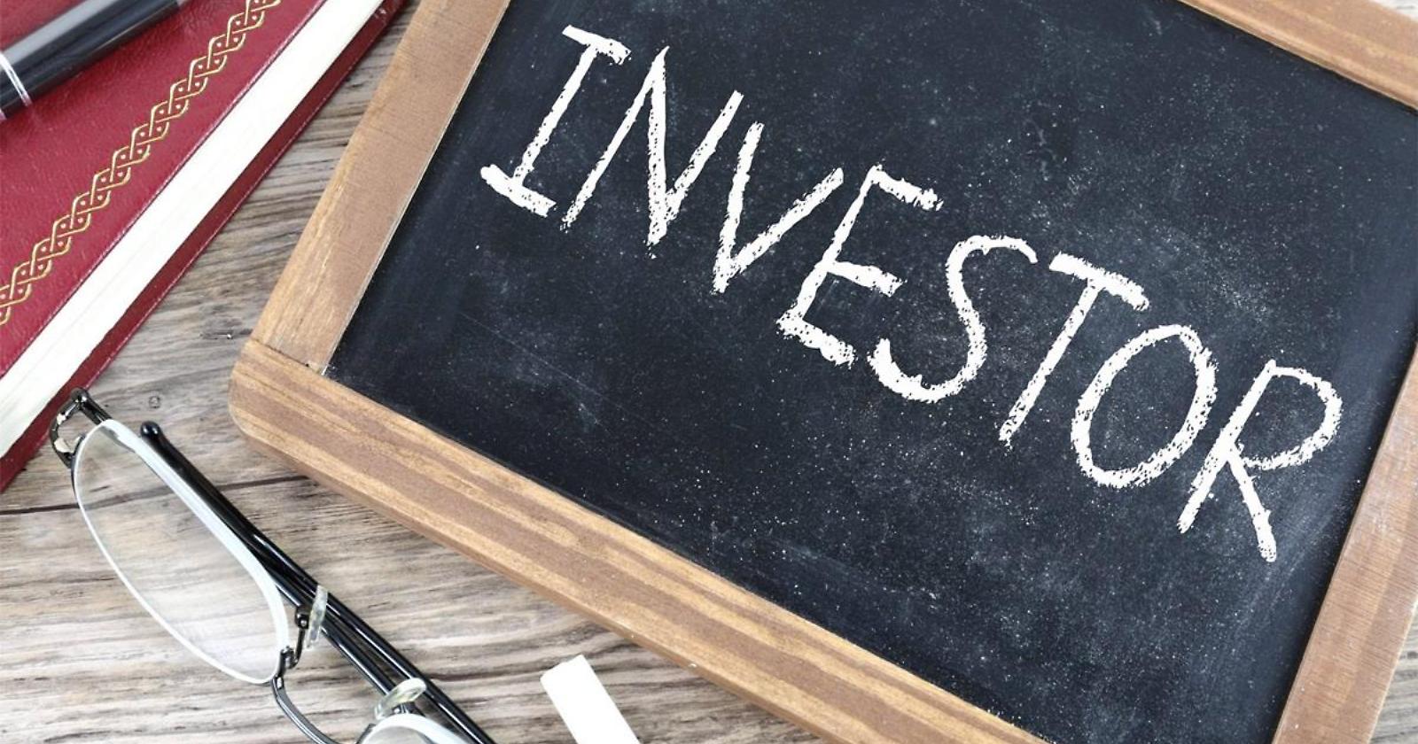 Investimenti sostenibili: un futuro green per il tuo portafoglio