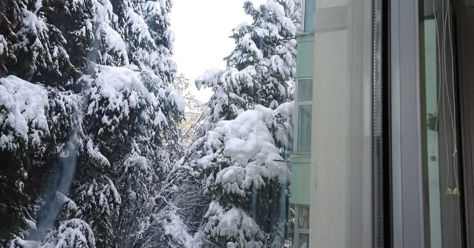 Maltempo, in Basilicata la situazione in miglioramento. A Potenza emergenza alberi