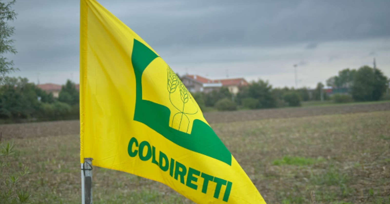 Agricoltura lucana in seria difficoltà: Coldiretti in pressing su Cicala
