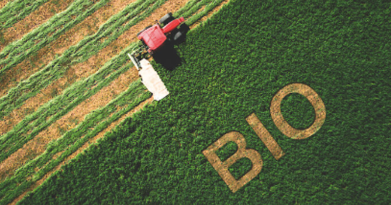 Agricoltura biologica: Basilicata tra le regioni top 