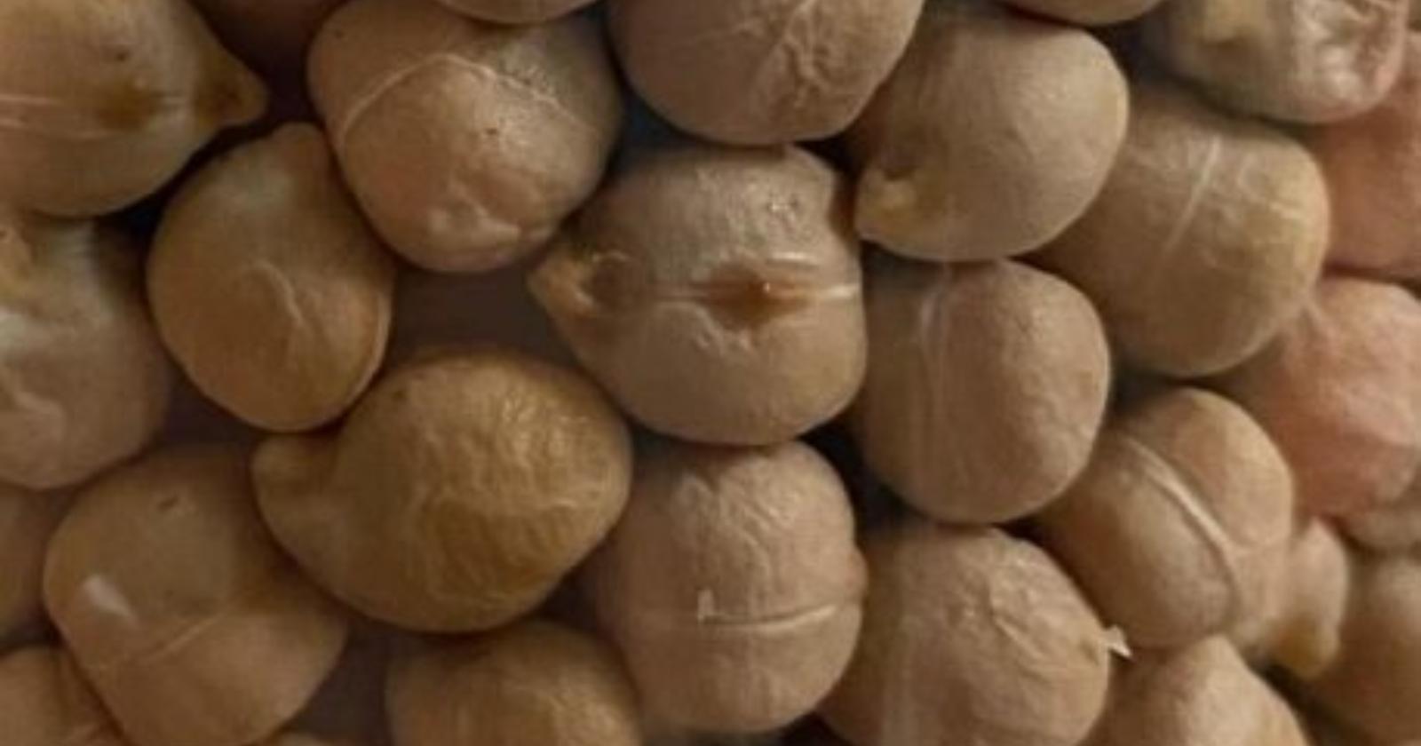 Da "A' Ssònzə" di Anzi, al cece bianco di Tricarico: 8 eccellenze agroalimentari lucane entrano nell'elenco nazionale Pat 