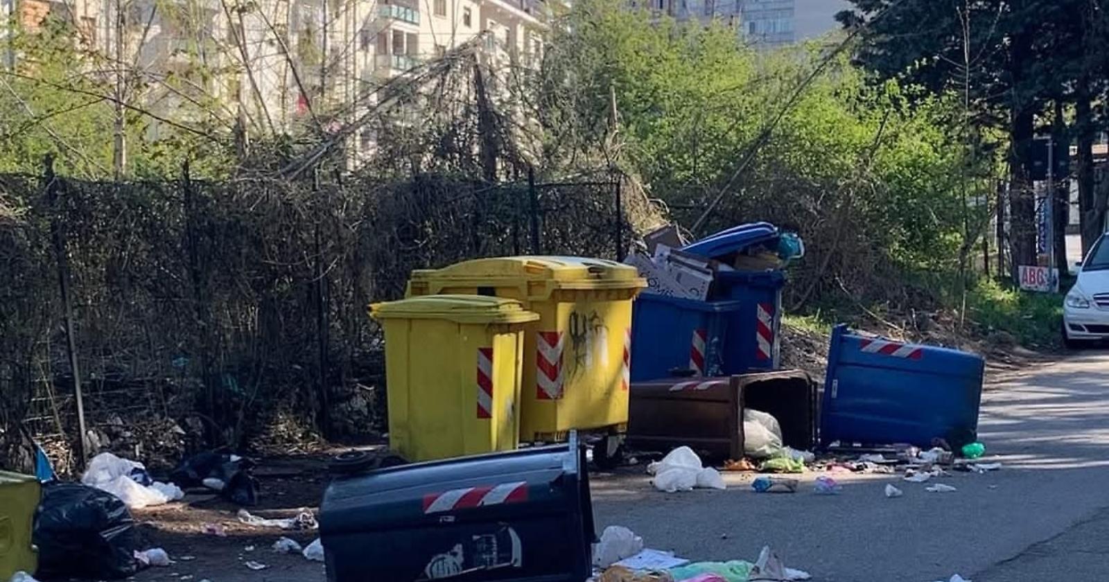 Tra paura e sporcizia: a Potenza l'emergenza della fauna selvatica