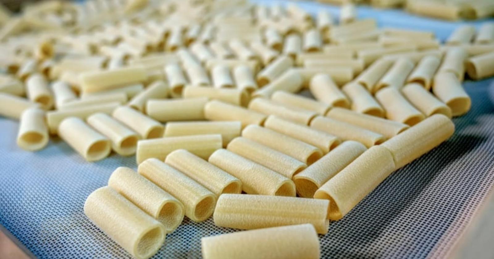 Pasta, il mondo ne vuole sempre di più: Italia leader globale. Nel 2024 oltre 2 milioni di tonnellate esportate 