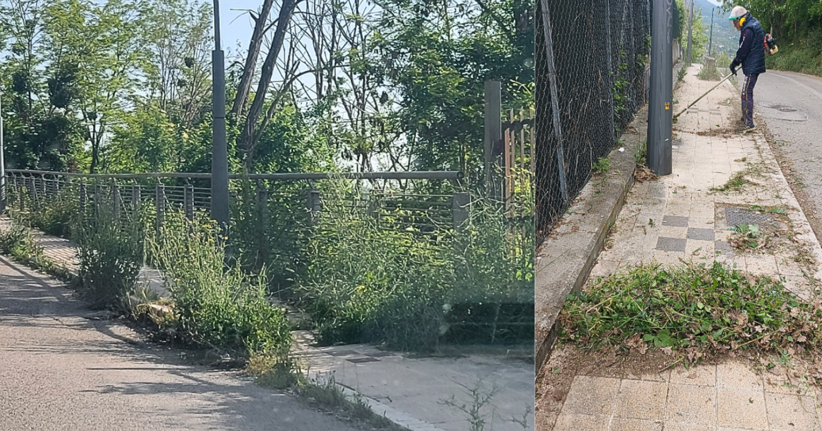 Potenza, decoro urbano fai da te: Amministrazione cercasi, ci pensano i residenti di Via Monte Cocuzzo 