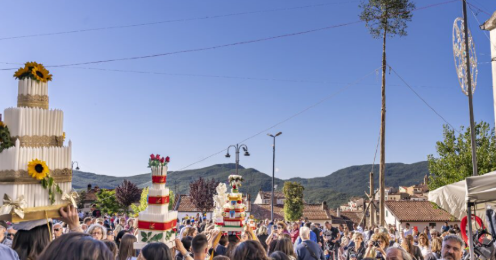 Accettura, la fede che sfida i secoli: tutto pronto per il culto arboreo del Maggio