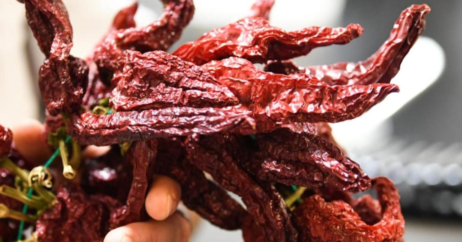 Il gusto che unisce la Basilicata: ecco “Le vie del crusco” tra cucina, identità e turismo