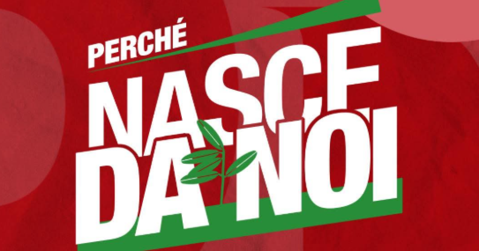 «Nasce da noi»: parte da Grassano la sfida dal basso dei Dem lucani