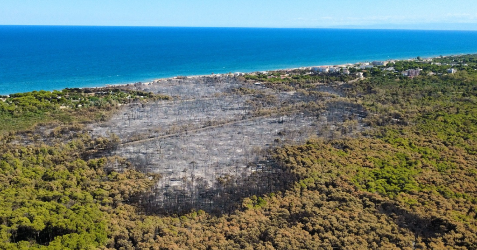 Incendio a Metaponto, distrutti quasi 300 ettari