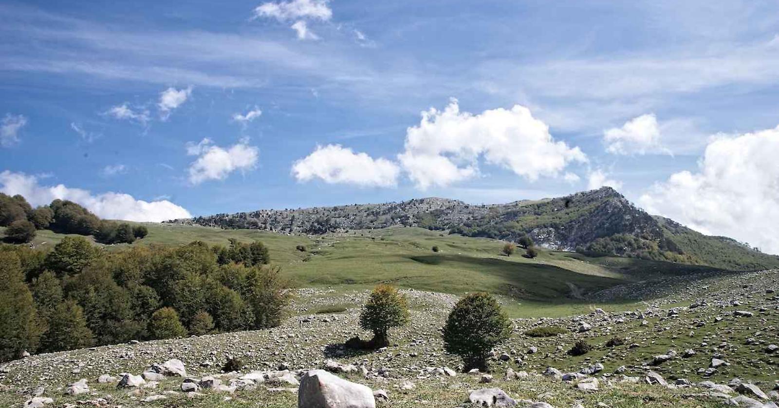 Così il Pollino guida il riscatto delle aree interne