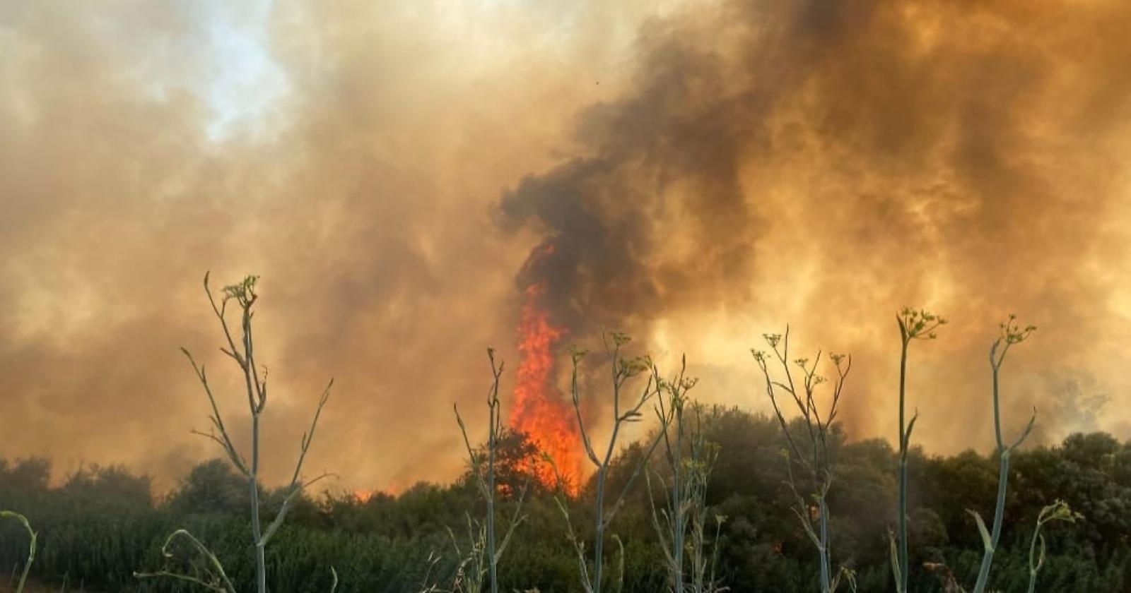 Emergenza incendi, 653 roghi nei primi 7 mesi del 2025: Sud maglia nera