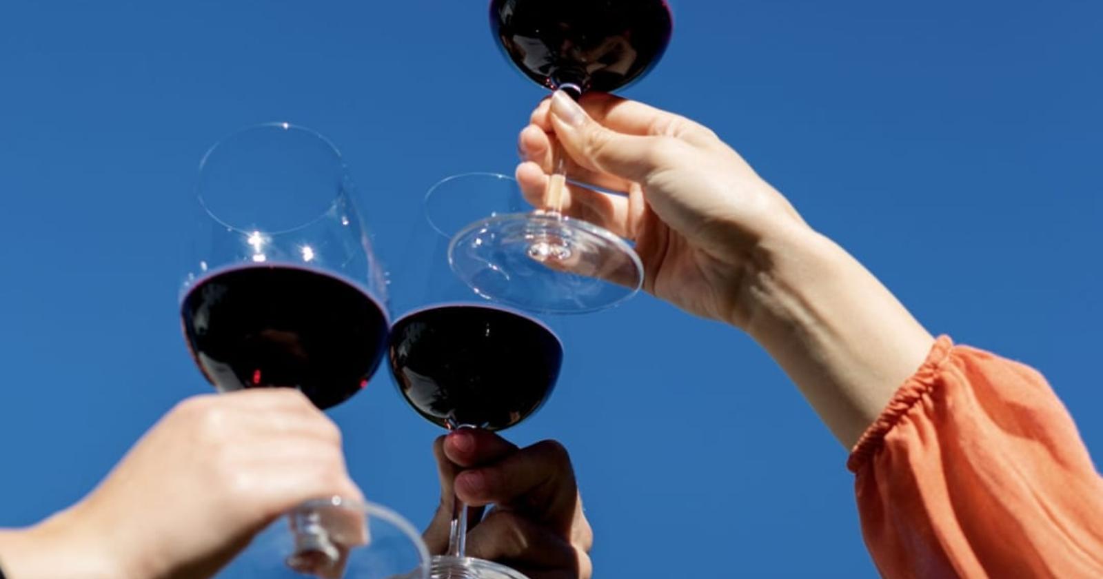 In Basilicata il vino batte le avversità, vendemmia 2025 di qualità