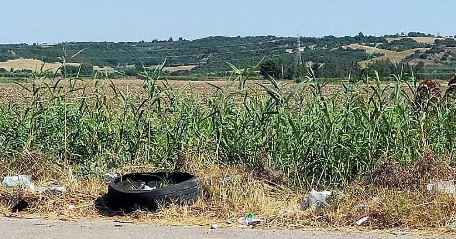Strada provinciale 3 Matera - Metaponto? Una discarica a cielo aperto