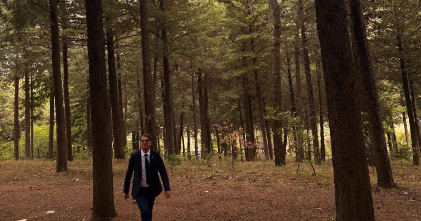 Foreste lucane, Cicala: “Con il nuovo Programma più tutela, lavoro e sviluppo sostenibile”