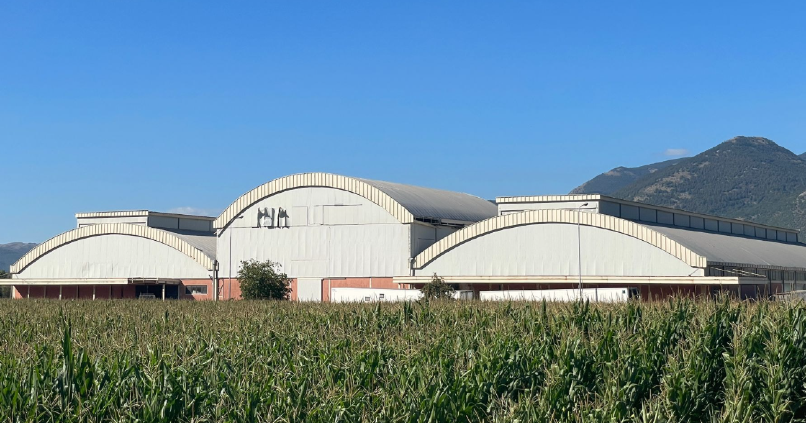 Smart paper, il sindaco di Tramutola propone l’ex Centrale del Latte in disuso 