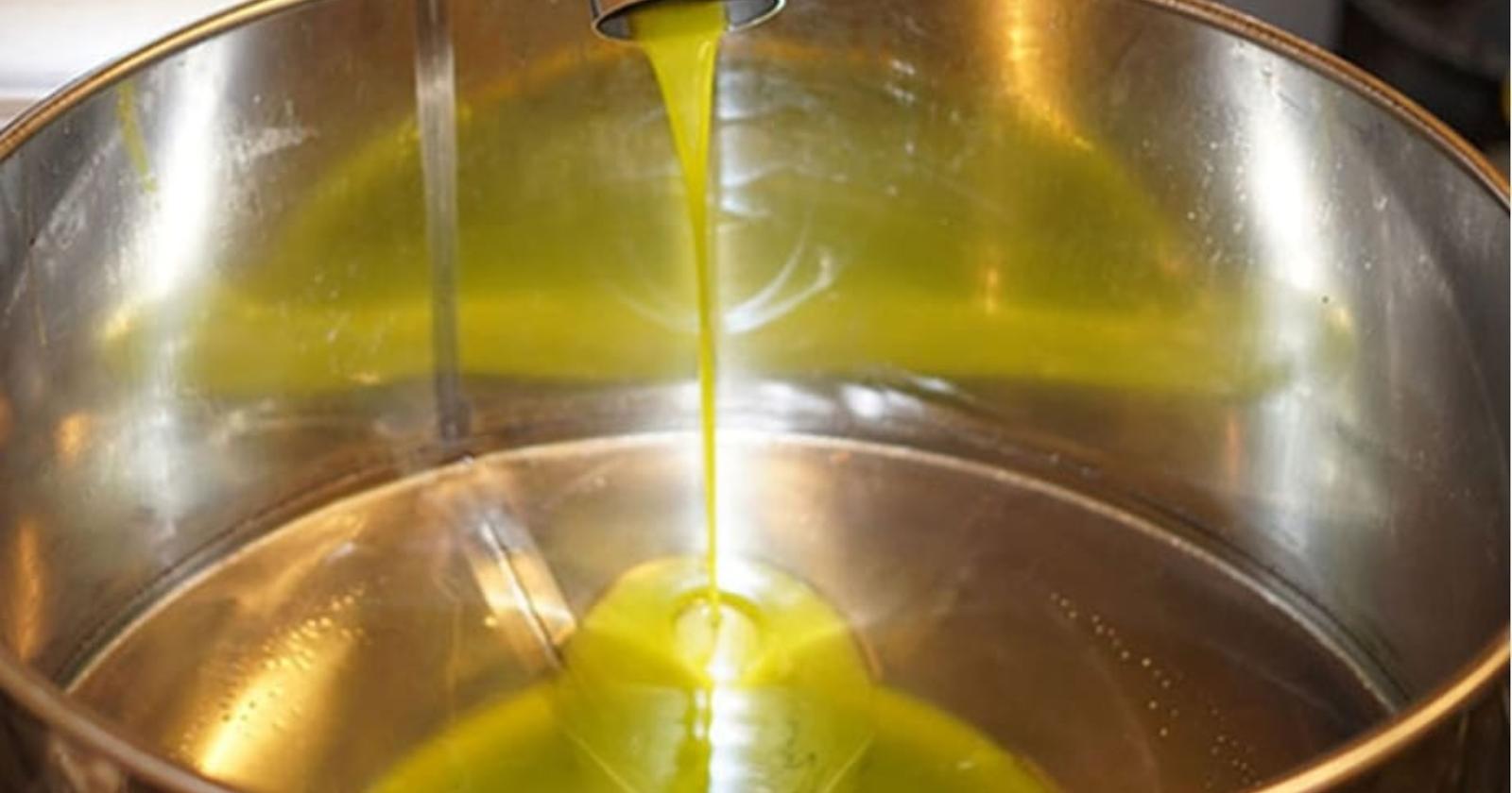 Olio extravergine, la Basilicata torna a crescere: più 37 per cento rispetto al 2024