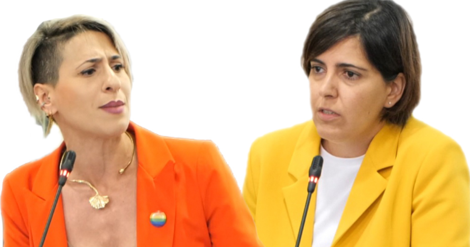 Le pentastellate Araneo e Verri a sostegno dei professionisti della giustizia lucana