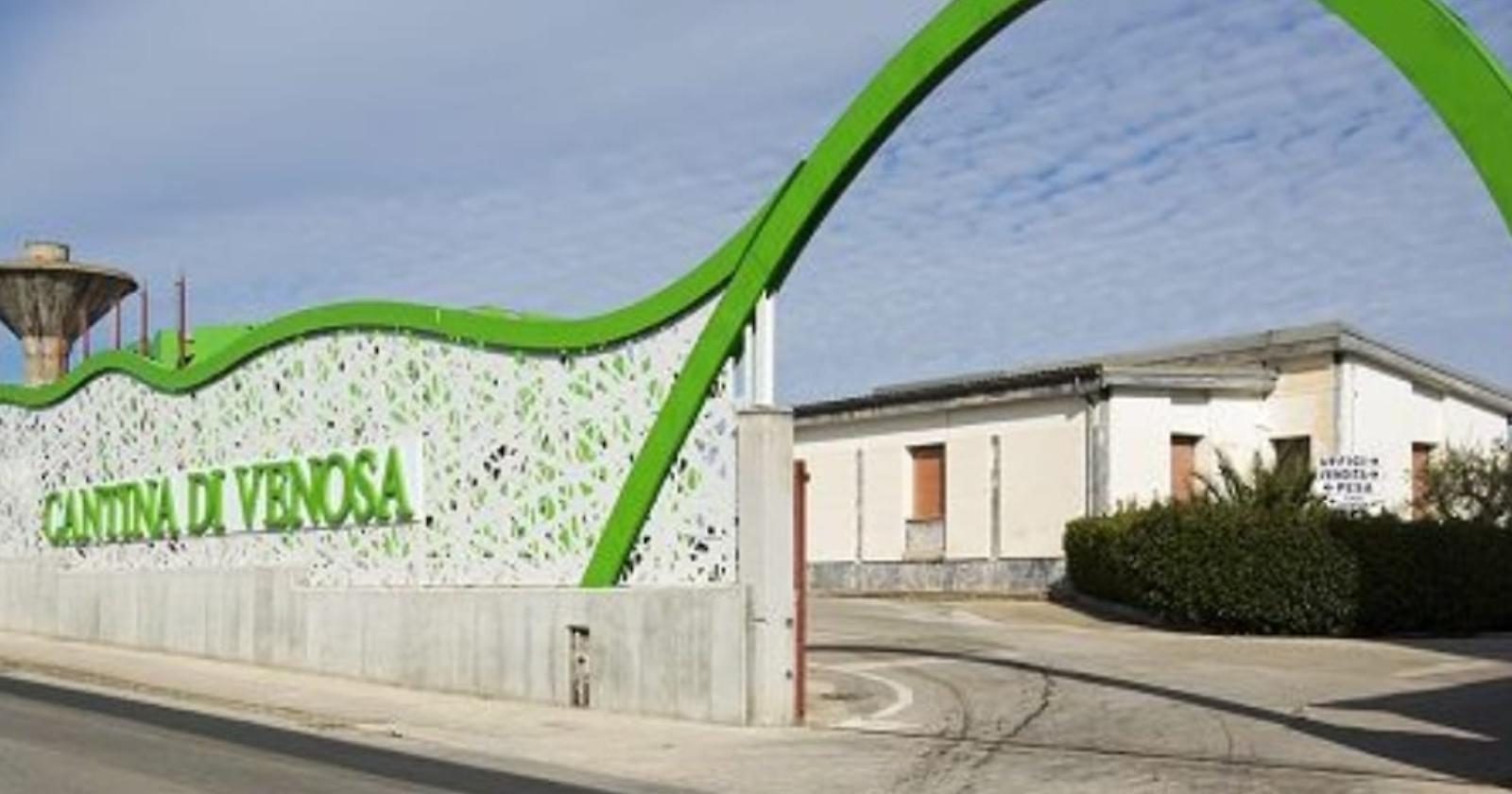 Un investimento da 3,4 milioni: così la Cantina di Venosa guarda al futuro