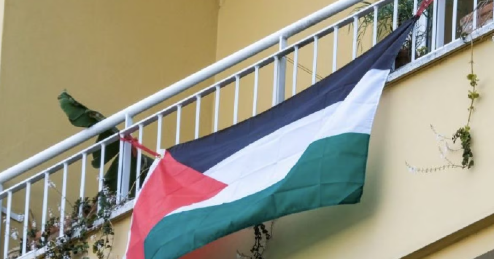 Attacco social e false recensioni a tre locali di Matera: “Colpiti perché esponiamo la bandiera palestinese”