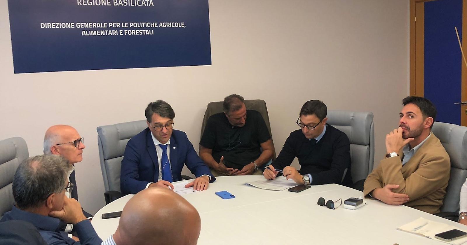 Tavolo Verde e Forestazione, Cicala: “Dialogo costante per risposte efficaci”