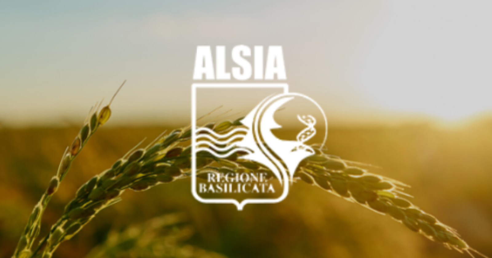 Alsia, il punto del nuovo direttore Blasi 