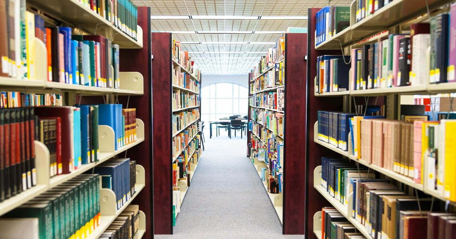 Il silenzioso declino culturale dei giovani lucani, il crollo della lettura tra gli adolescenti: Basilicata ultima in Italia