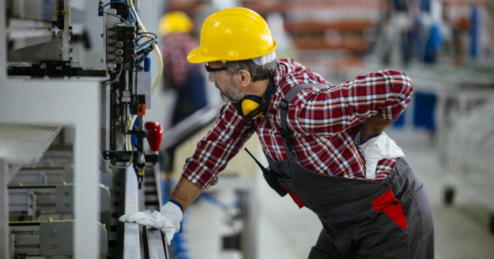Mercato del lavoro,  in Basilicata cresce la domanda ma mancano profili specializzati