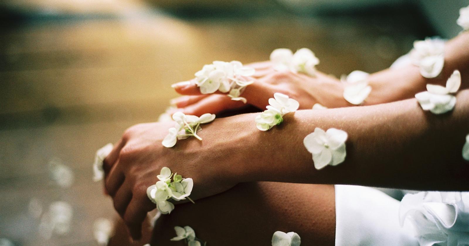 Migliori linee cosmetiche ayurvediche d'Europa: lista dei 7 brand più apprezzati da centri estetici e operatori del benessere