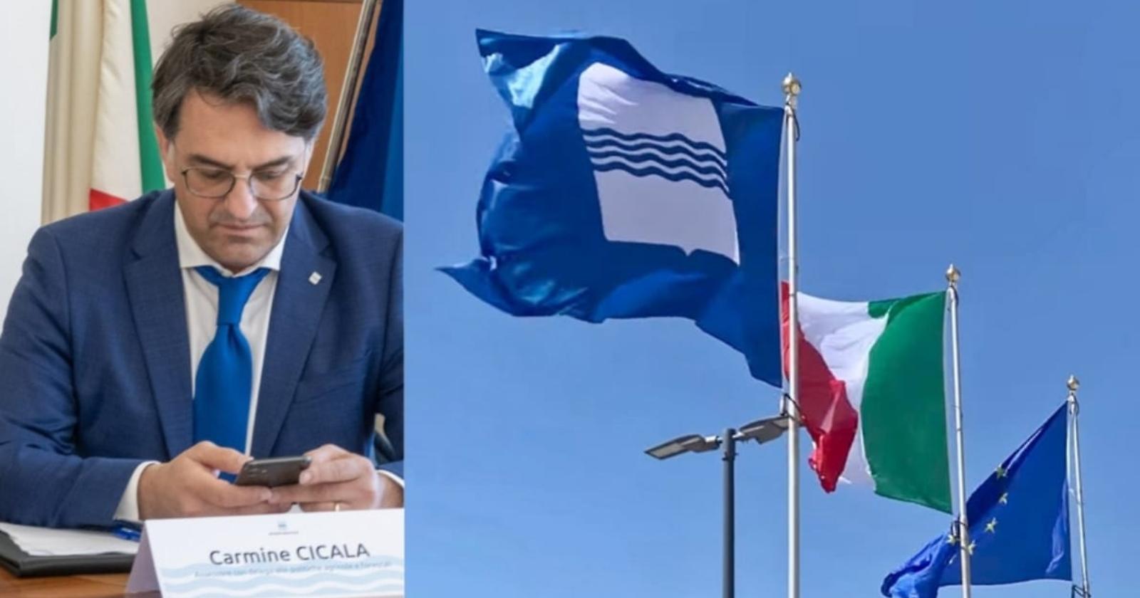 Pianificazione forestale, sbloccato un iter fermo da anni. Cicala: &laquo;Gestione attiva e sostenibile&raquo;