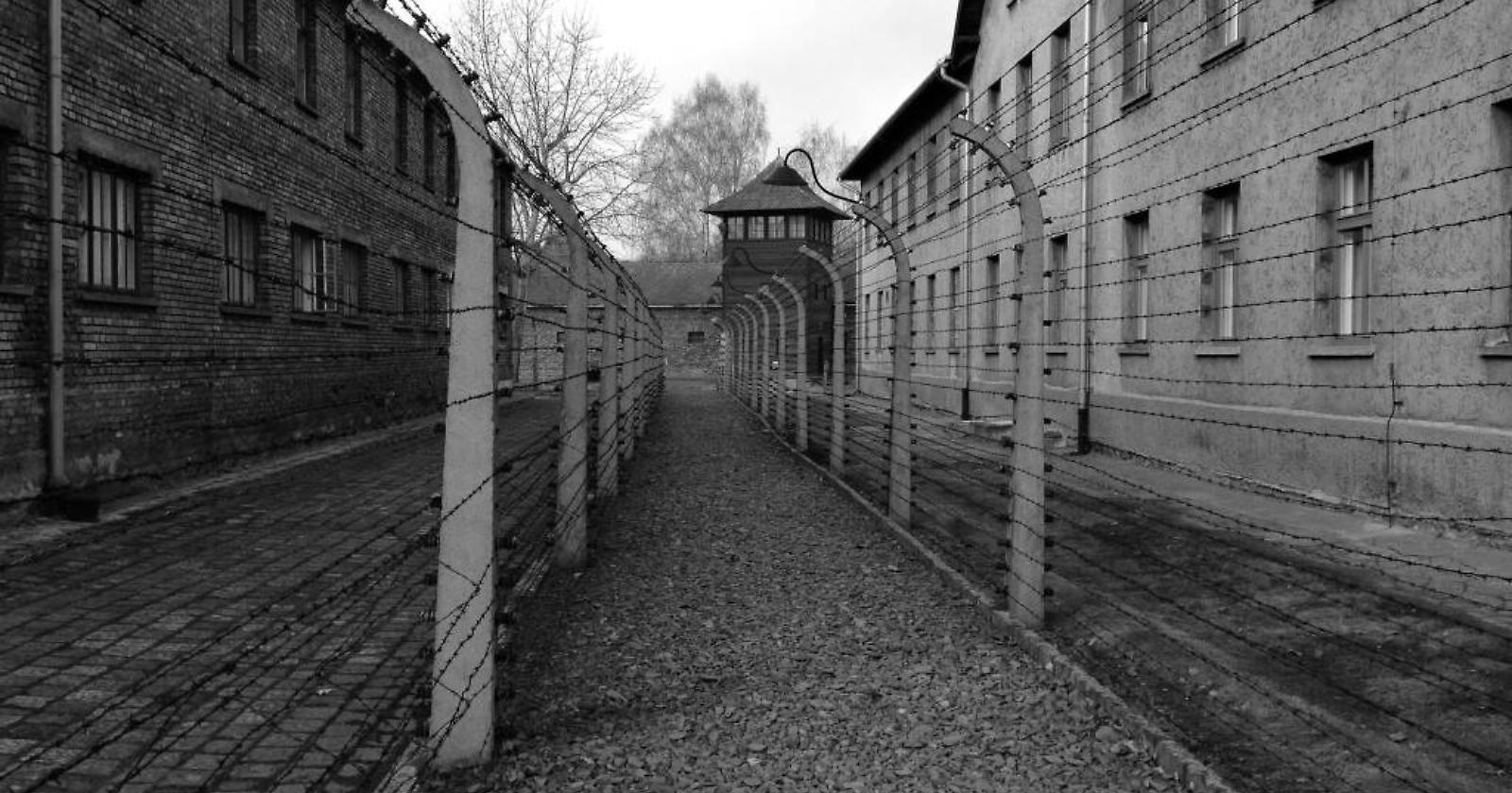 Potenza celebra il Giorno della Memoria: medaglia d&rsquo;onore a Rocco Possidente