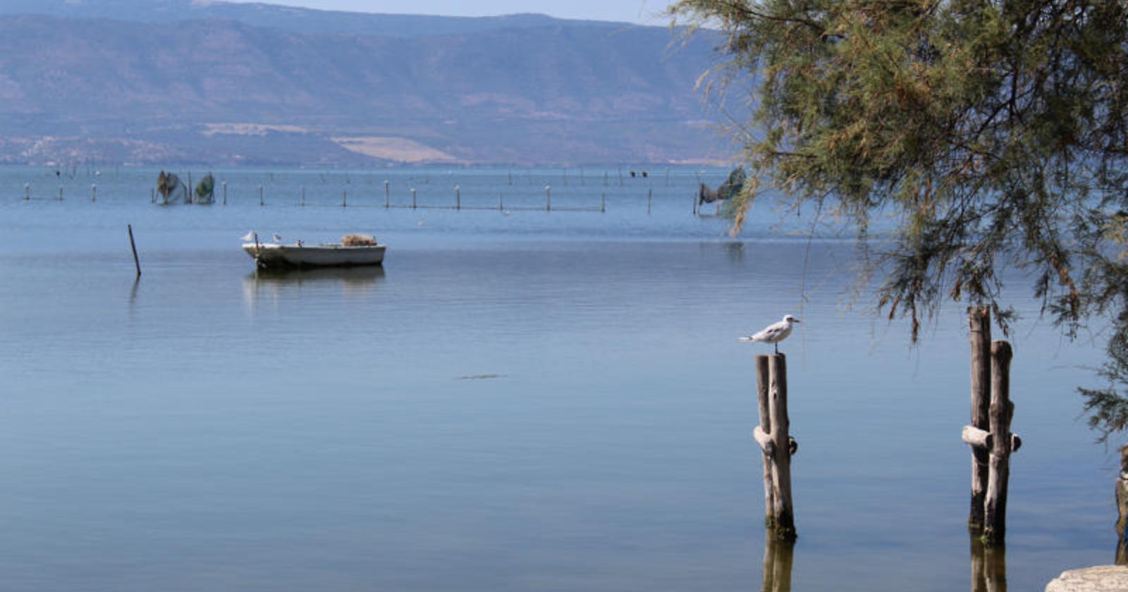 tragedia a cagnano varano: un giovane carabiniere forestale si toglie la vita. e intanto il gargano fa i conti con i 9 arresti del narcotraffico