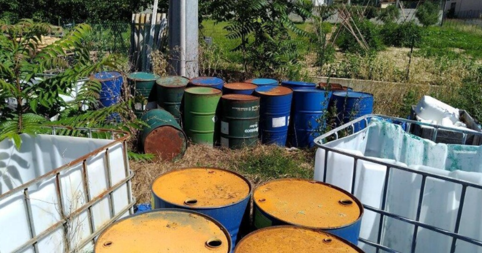 Basilicata, nel 2025 ben 966 reati ambientali: il bilancio dei Carabinieri Forestali