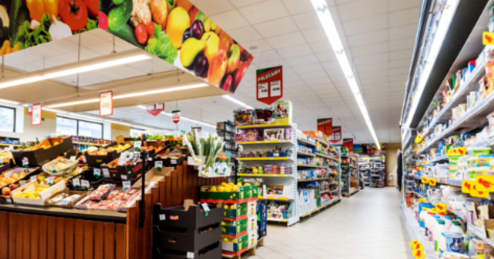 Discount alimentari e commercio elettronico sono i settori pi&ugrave; dinamici nel 2025