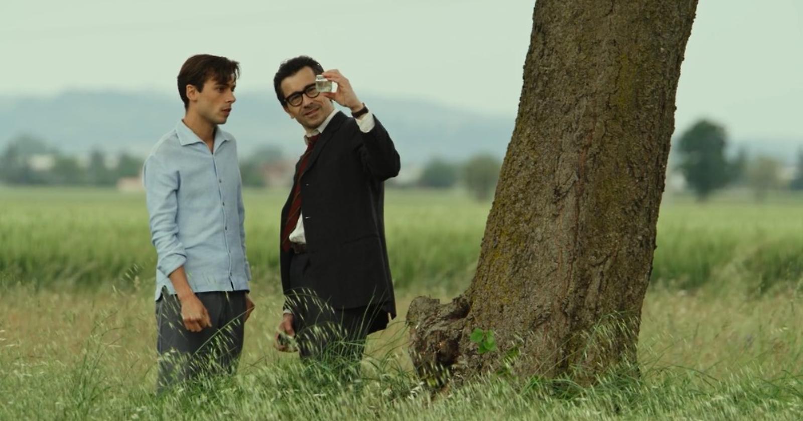 Il Signore delle Formiche: il Verdetto Tardivo di Gianni Amelio